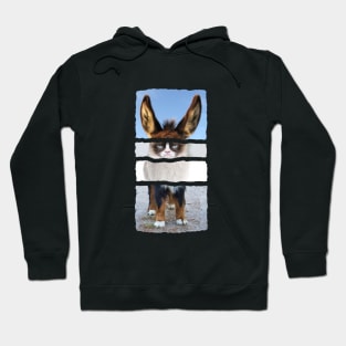 Enchanted pet_1 Hoodie